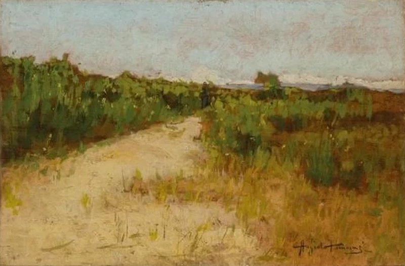 Angiolo - Stradina nel campo